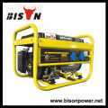 Бензиновый генератор BISON (Китай) 3Kw от Honda Engine